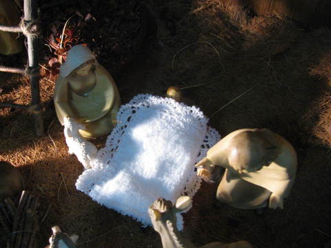 d0206007_11561198.jpg
