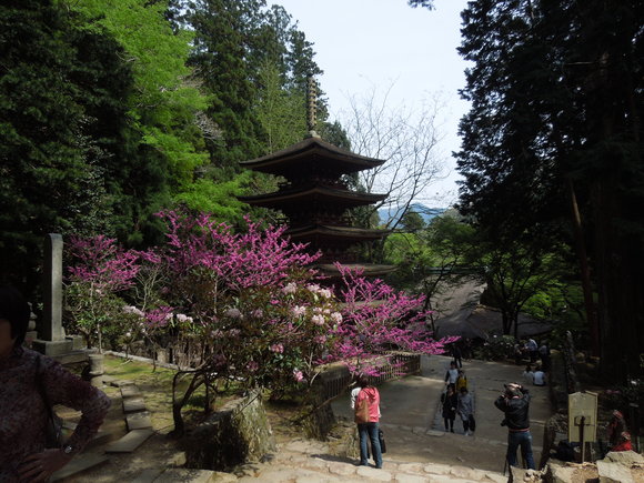 f0297809_0472885.jpg