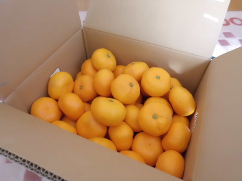 b0183111_7261152.jpg