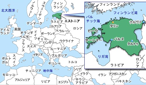 バルト海沿岸・エストニアのタリン動物園でホッキョクグマの赤ちゃん誕生!_a0151913_182592.jpg