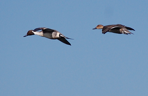 f0248120_22421994.jpg