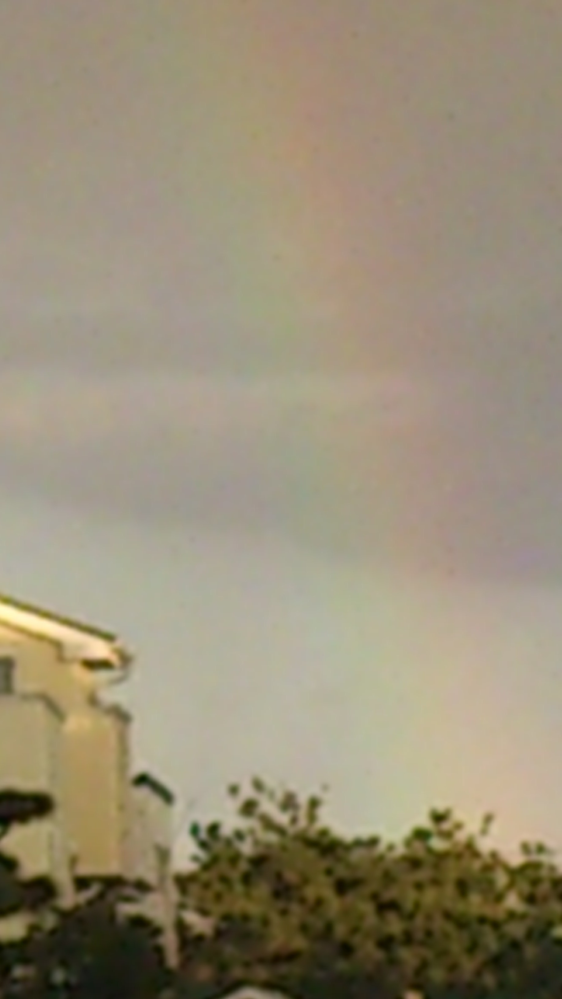e0131324_824645.jpg