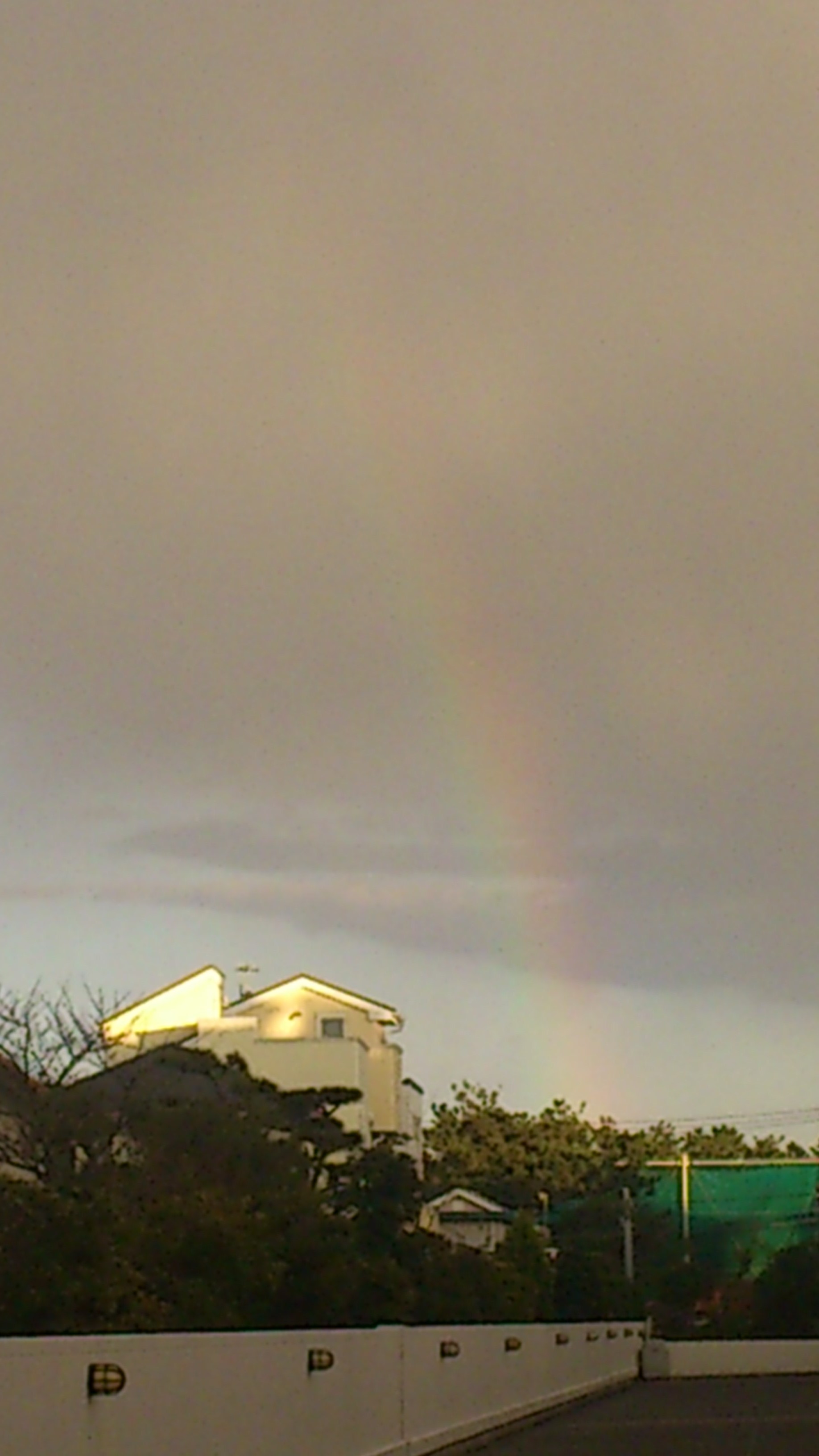 e0131324_8337.jpg