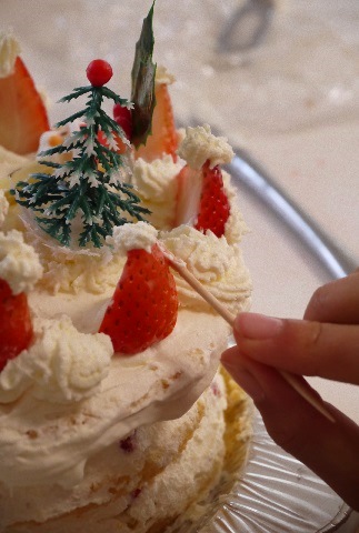 クリスマスケーキ 2 ~12月~_c0235725_126926.jpg