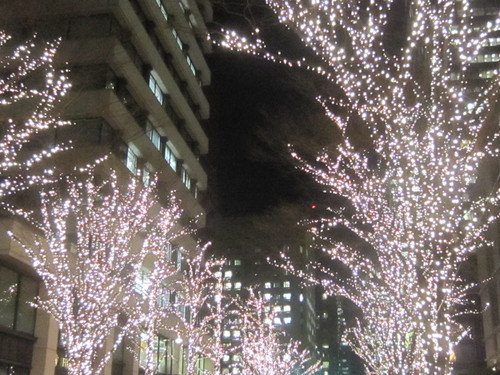 ♪２０１３★クリスマス千秋楽！_d0162225_23261863.jpg