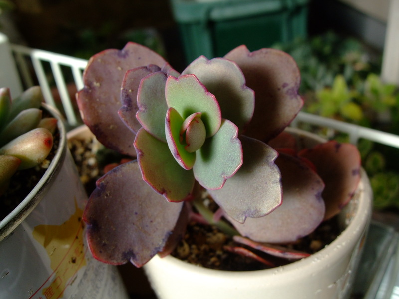 f0243726_9445212.jpg