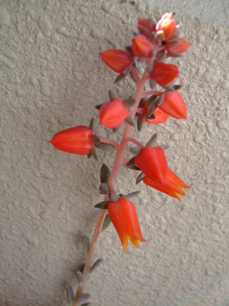 f0243726_946237.jpg