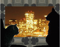 a0098027_22320682.gif