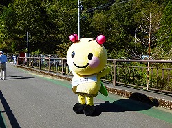 d0086228_11472955.jpg