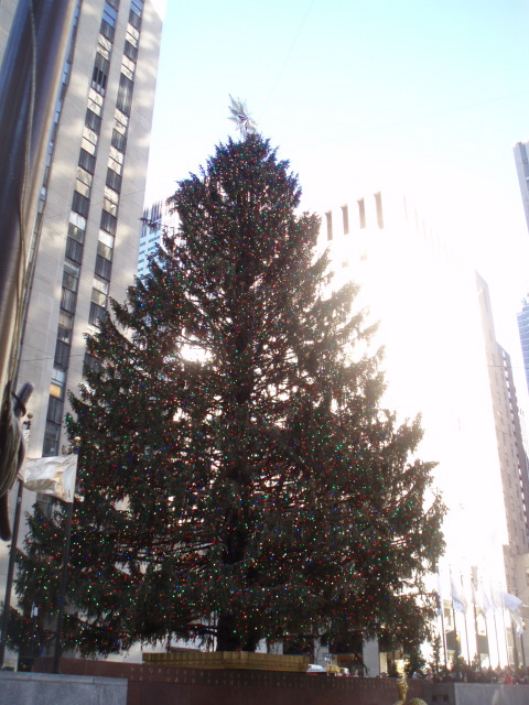 e0177330_13191483.jpg