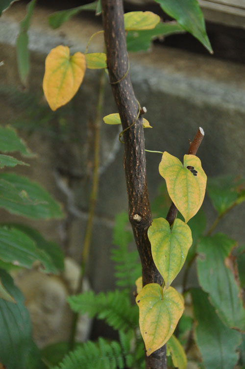 f0302638_2324572.jpg