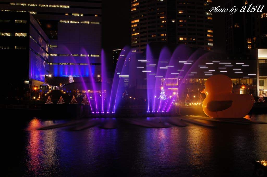 d0250840_14474864.jpg