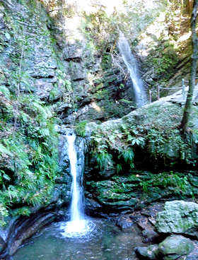 d0039443_22573910.jpg