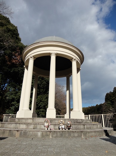 e0201748_6595015.jpg