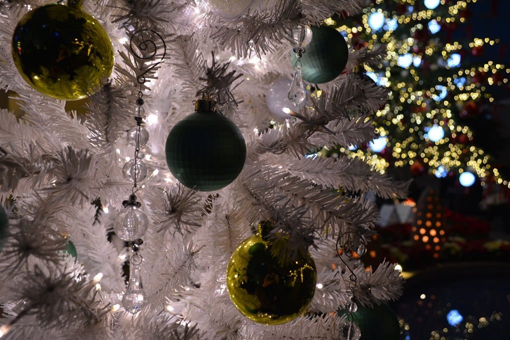 a0055650_1552156.jpg