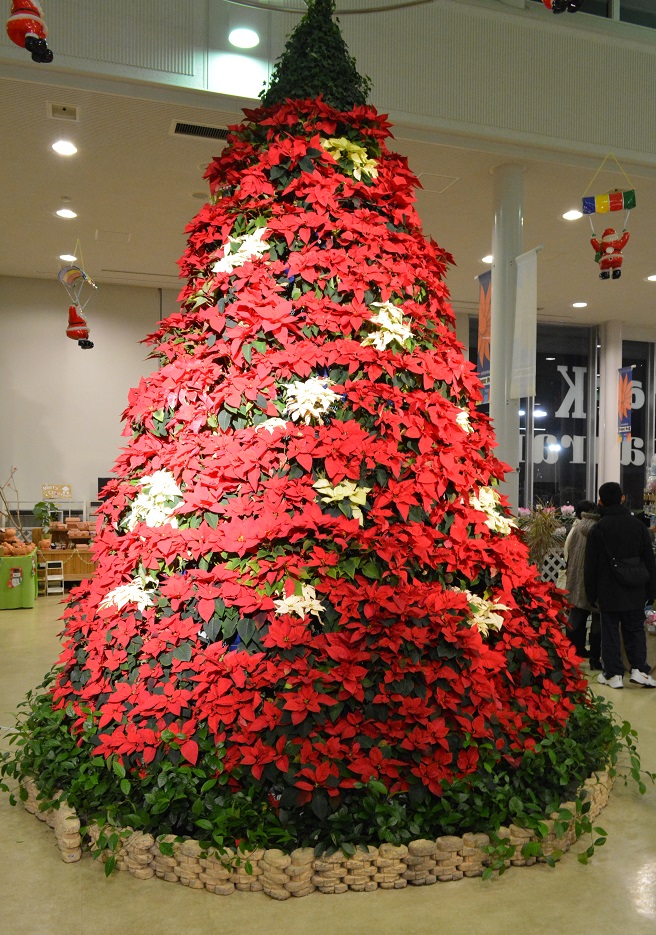 a0055650_156150.jpg