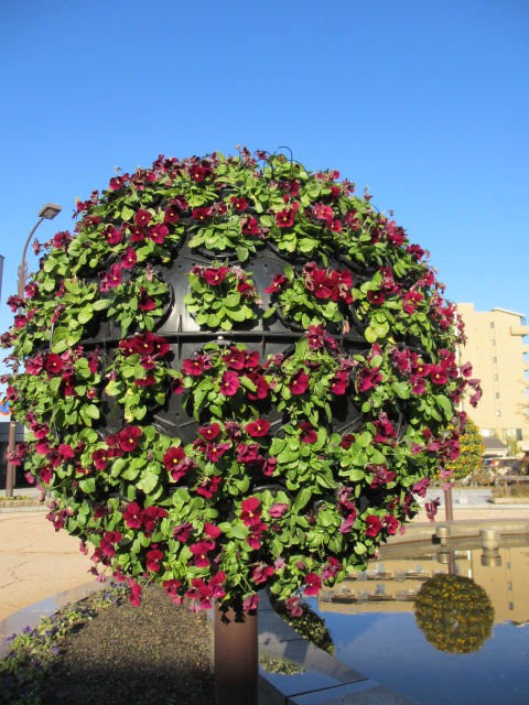 c0095253_1437244.jpg