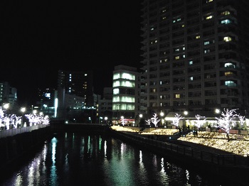 目黒川・冬の桜_a0061057_2244736.jpg