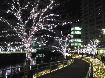 目黒川・冬の桜_a0061057_2263825.jpg