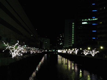 目黒川・冬の桜_a0061057_2274649.jpg