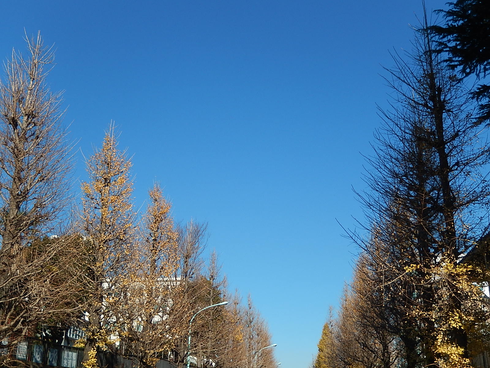 12月25日　渋谷　原宿　の自転車屋　FLAME bike前です_e0188759_12321697.jpg