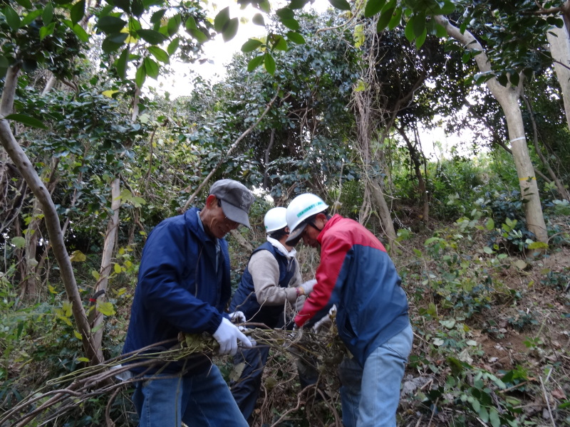 c0108460_23113895.jpg