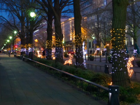 c0071763_2240315.jpg
