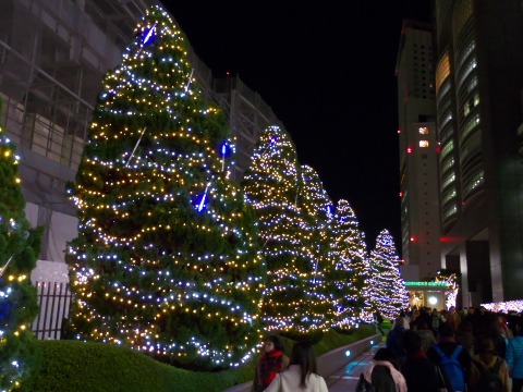 c0071763_22404030.jpg