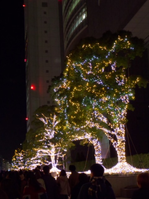 c0071763_22405558.jpg