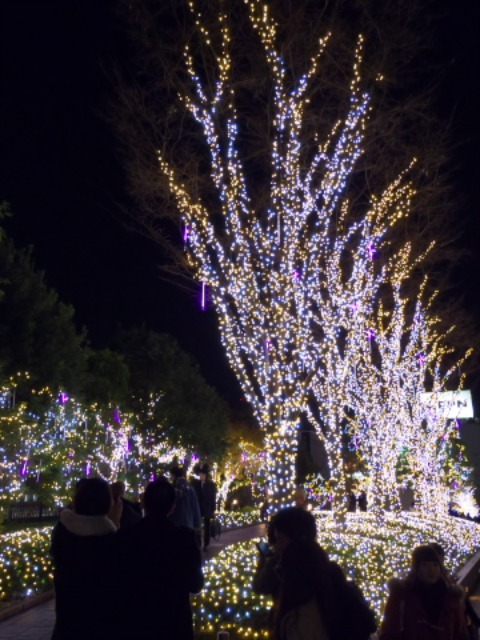 c0071763_2241499.jpg