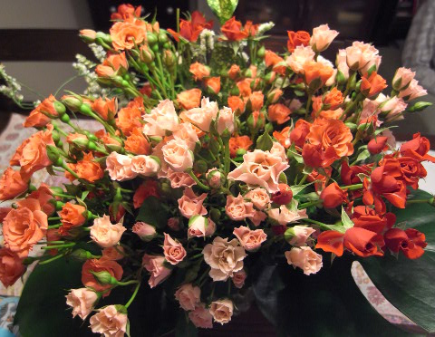 b0051666_8142777.jpg