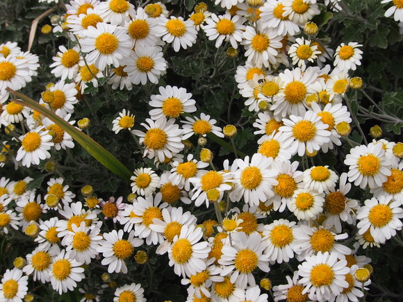 b0149867_60838.jpg