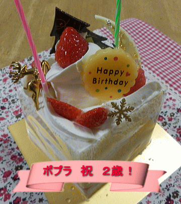 d0152869_2226810.gif