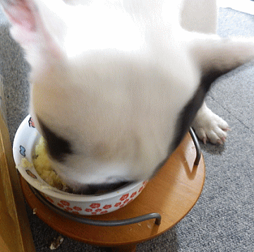 d0152869_223163.gif