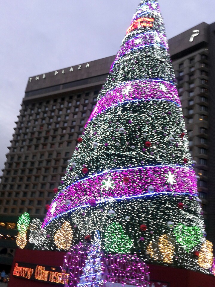 ソウルのクリスマス_d0292371_20333316.jpg