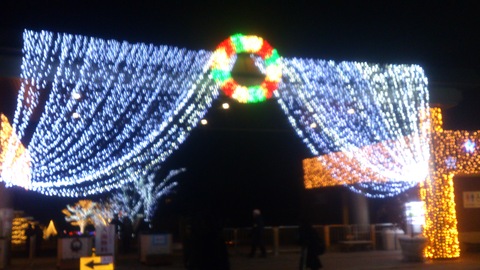 国営越後丘陵公園クリスマスイルミネーション_d0182179_16191159.jpg