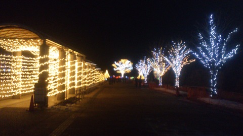 国営越後丘陵公園クリスマスイルミネーション_d0182179_16194121.jpg