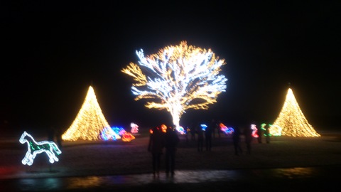 国営越後丘陵公園クリスマスイルミネーション_d0182179_1620578.jpg