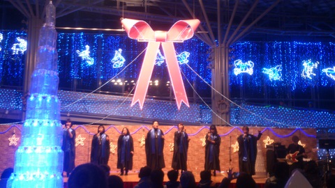 国営越後丘陵公園クリスマスイルミネーション_d0182179_1622629.jpg