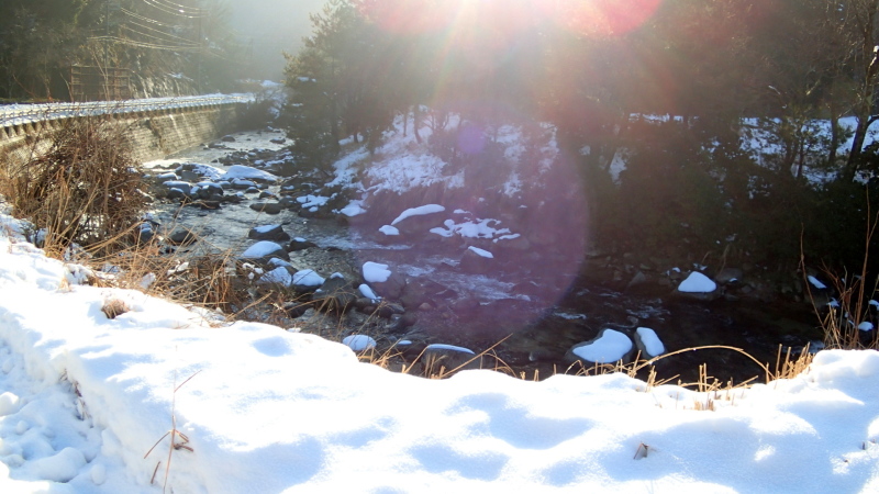 e0024081_20290775.jpg