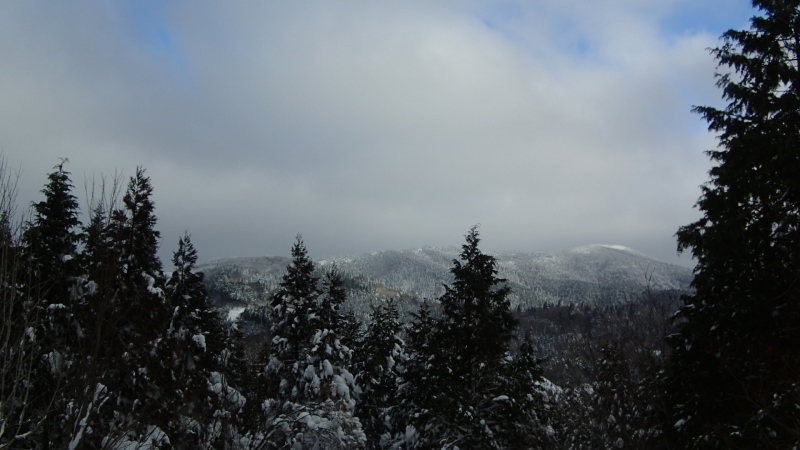 e0024081_20371722.jpg