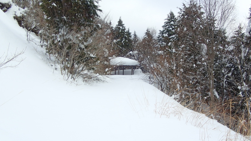 e0024081_20390003.jpg