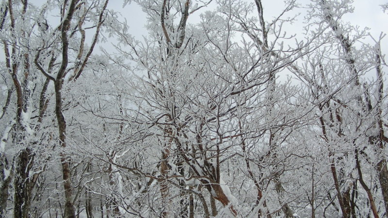 e0024081_20562199.jpg