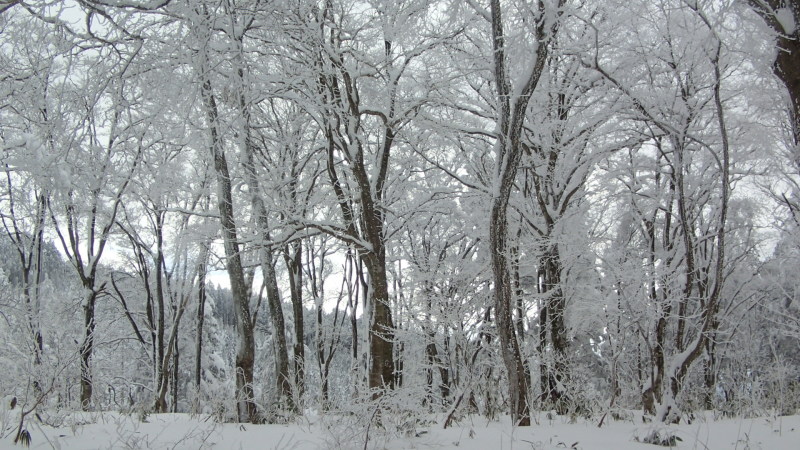 e0024081_21032564.jpg