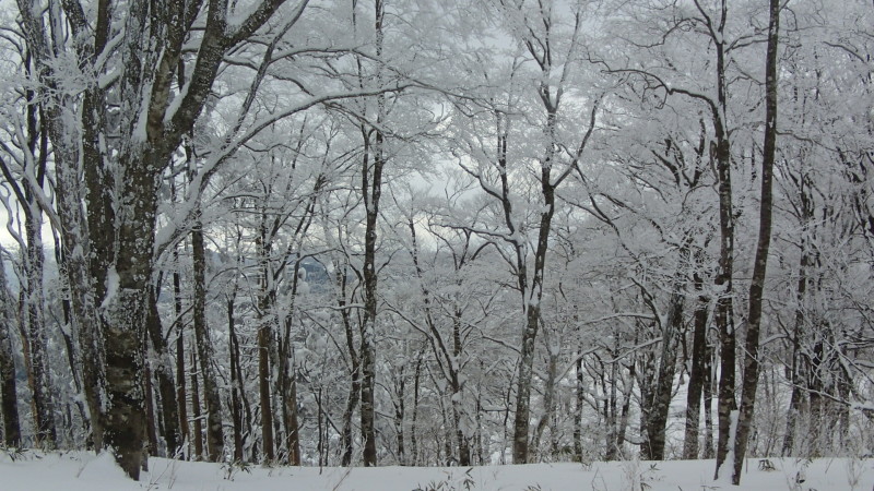 e0024081_21042618.jpg