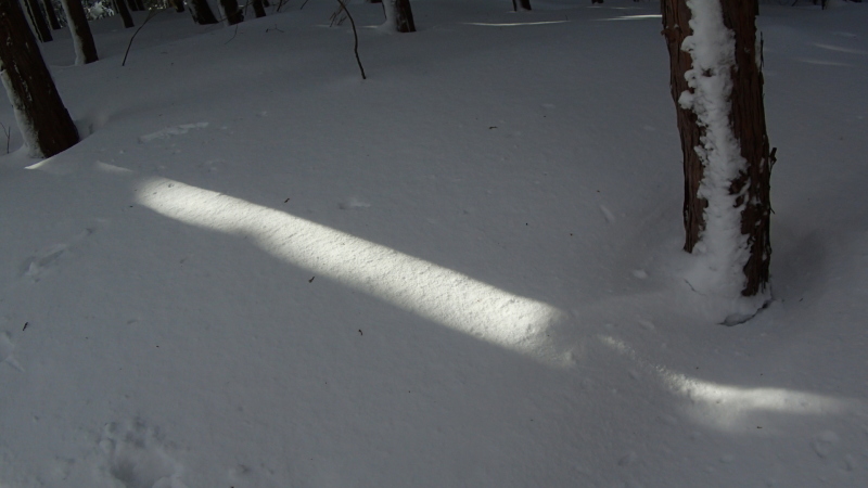 e0024081_21064514.jpg