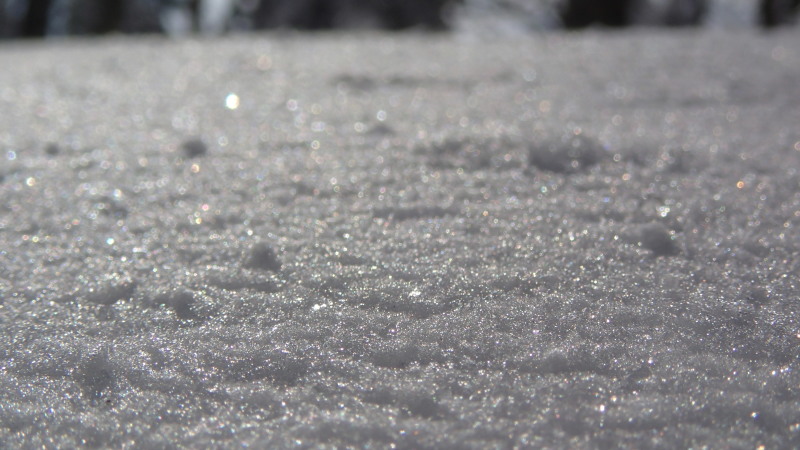 e0024081_21091721.jpg
