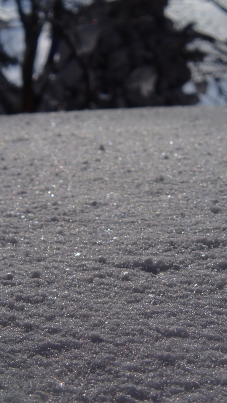 e0024081_21101187.jpg