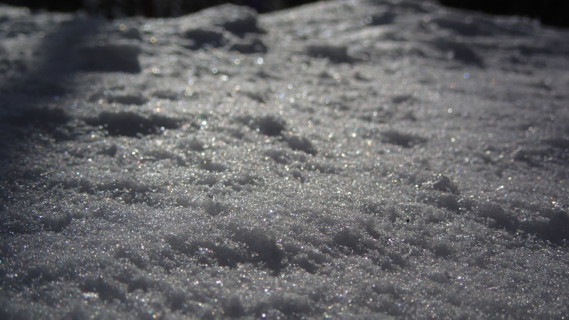 e0024081_21112423.jpg