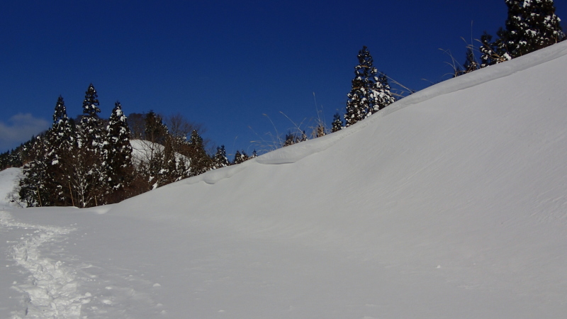 e0024081_21125593.jpg